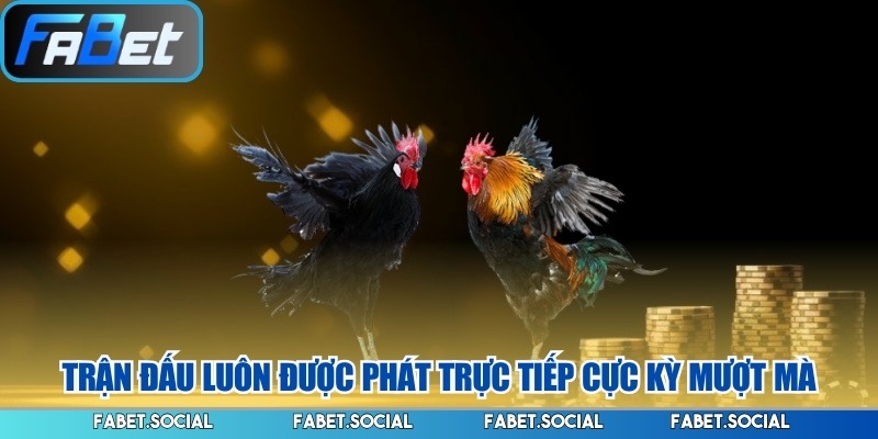 Trận đấu luôn được phát trực tiếp cực kỳ mượt mà