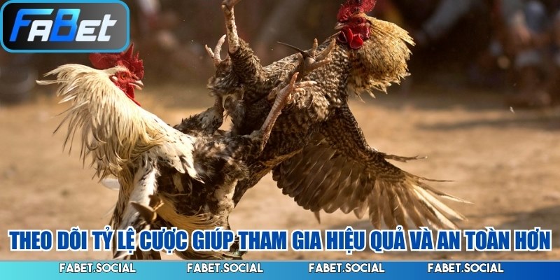 Theo dõi tỷ lệ cược giúp tham gia hiệu quả và an toàn hơn