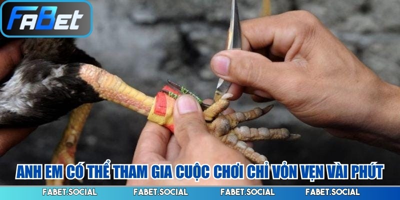 Anh em có thể tham gia cuộc chơi chỉ vỏn vẹn vài phút