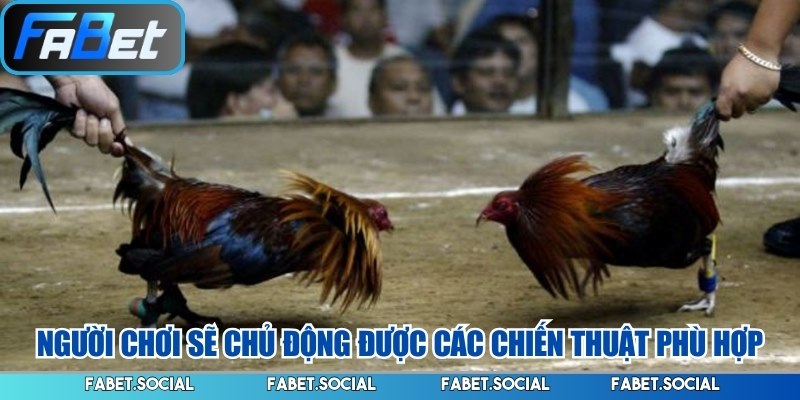 Người chơi sẽ chủ động được các chiến thuật phù hợp