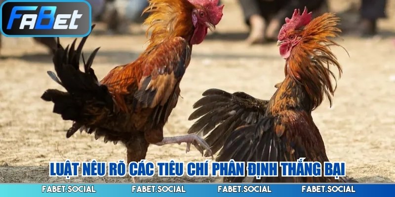 Luật nêu rõ các tiêu chí phân định thắng bại