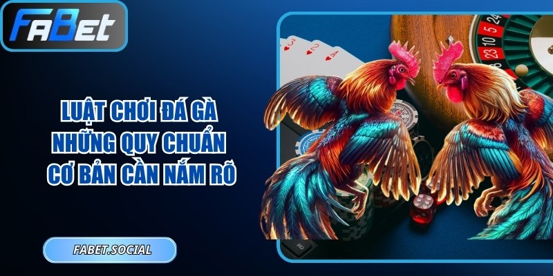 Luật Chơi Đá Gà - Những Quy Chuẩn Cơ Bản Cần Nắm Rõ Luật chơi đá gà